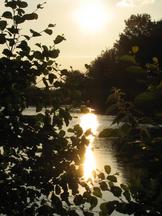 wielen_162x216_002.jpg