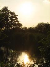 wielen_162x216_006.jpg