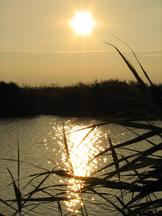 wielen_162x216_011.jpg