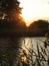 wielen_162x216_024.jpg