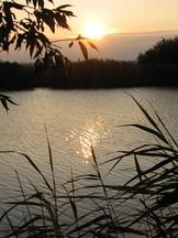 wielen_162x216_028.jpg