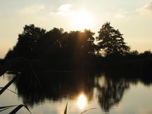wielen_216x162_004.jpg