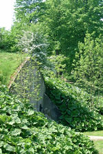 willemstad_150x225_022.jpg