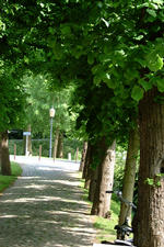 willemstad_150x225_070.jpg
