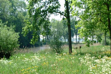 willemstad_225x150_005.jpg