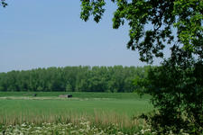 willemstad_225x150_008.jpg