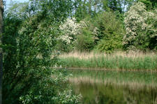 willemstad_225x150_009.jpg