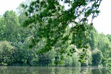 willemstad_225x150_010.jpg