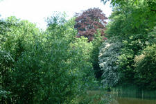 willemstad_225x150_011.jpg