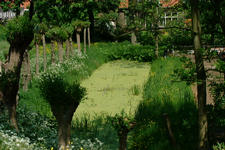 willemstad_225x150_027.jpg