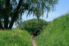 willemstad_225x150_047.jpg