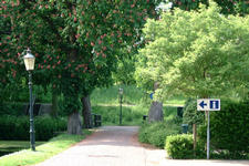 willemstad_225x150_079.jpg