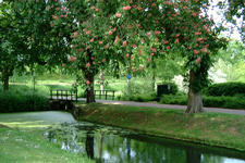 willemstad_225x150_082.jpg