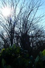 willemstad_150x225_025.jpg