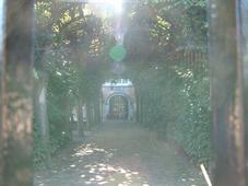 willemstad_227x170_026.jpg
