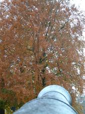 willemstad_170x227_078.jpg