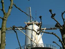 willemstad_227x170_018.jpg