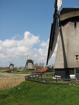 molens_162x216_001.jpg