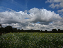 wolken_224x168_5224_5_6_7_8.jpg