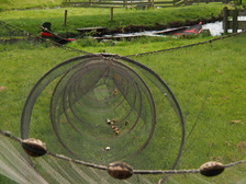 zuiderzee_224x168_2055.jpg